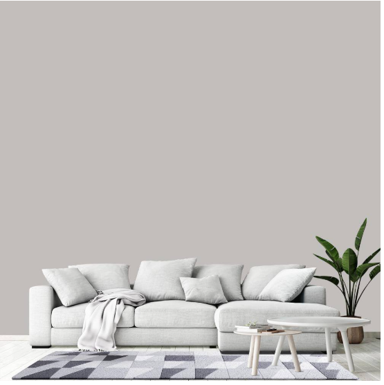 Natural Grey Interior Egg Shell Paint